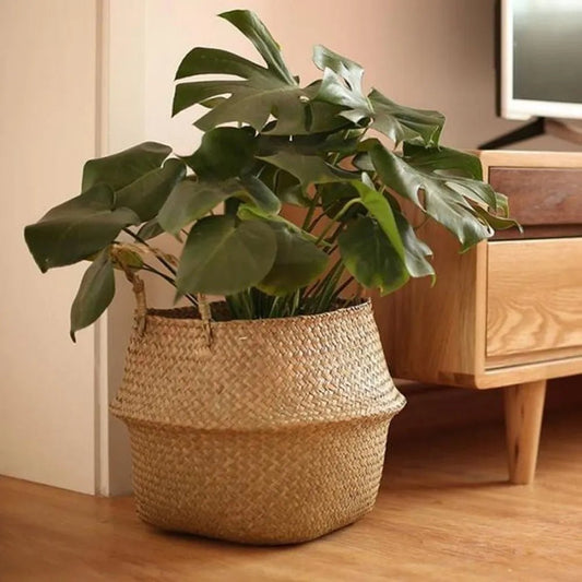 Seaweed Wicker Basket Rattan - Nature Inspires