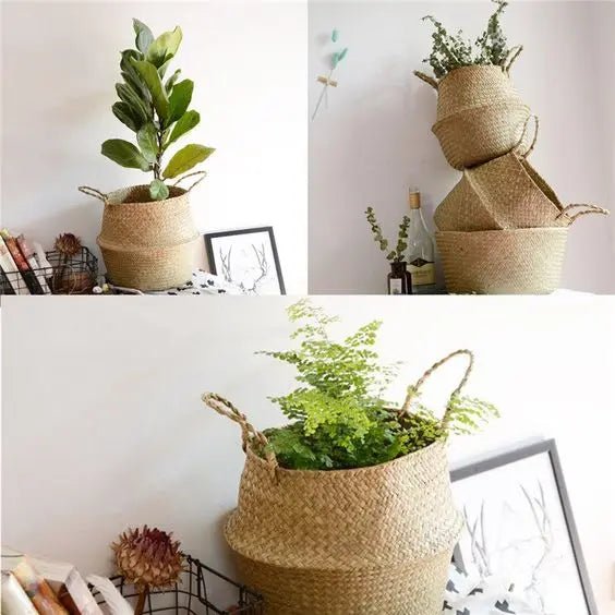 Seaweed Wicker Basket Rattan - Nature Inspires