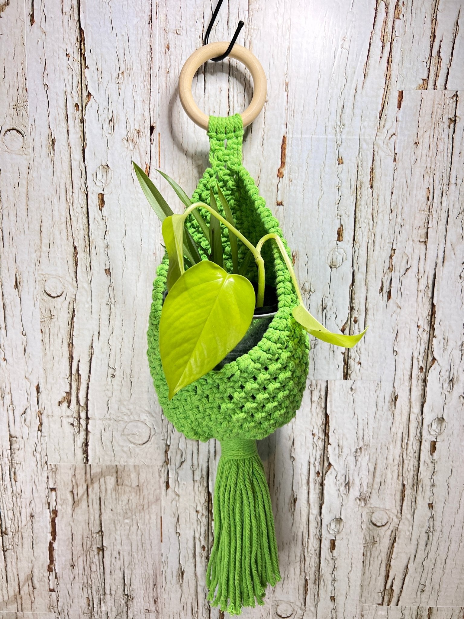Green Macramé Hanging Nest - Naturenspires