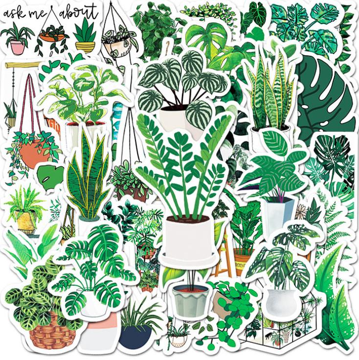 Plant Decals - Naturenspires