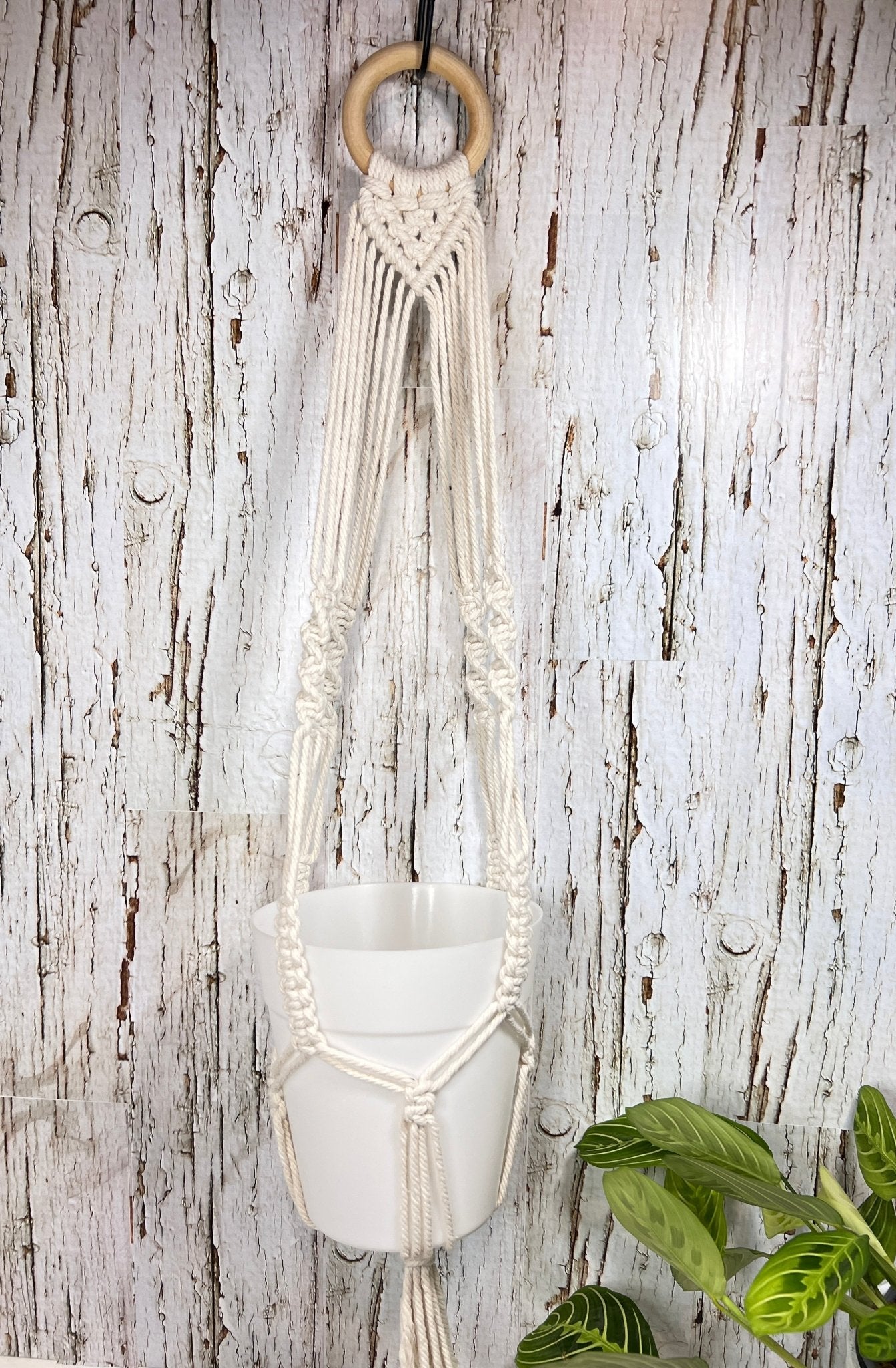 small plant hanger Small Cream Plant Hanger