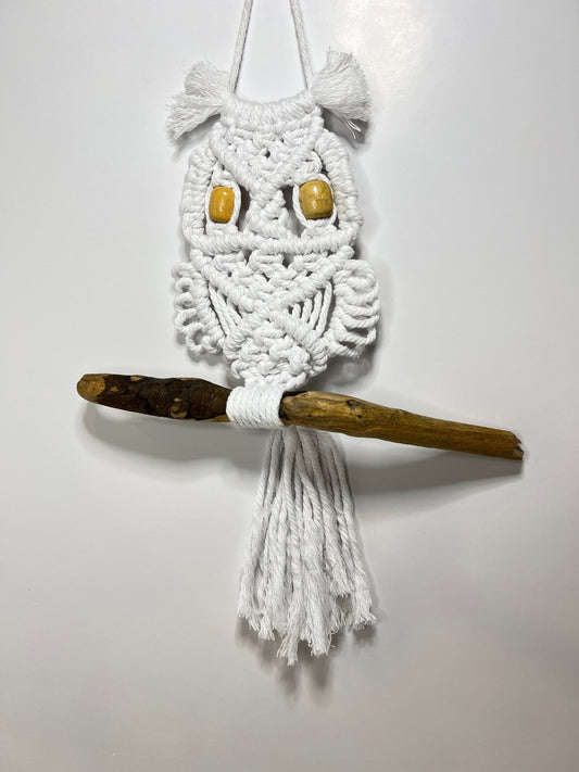 Small Owl on a Stick - Naturenspires
